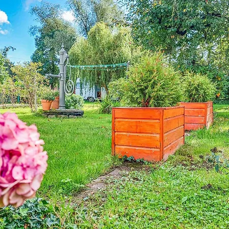 Gorgeous In With Wifi