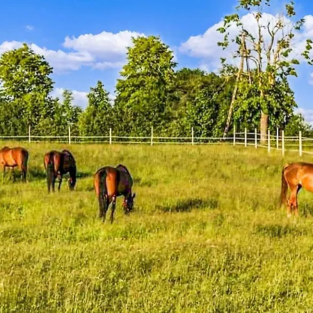 Gorgeous In With Wifi *