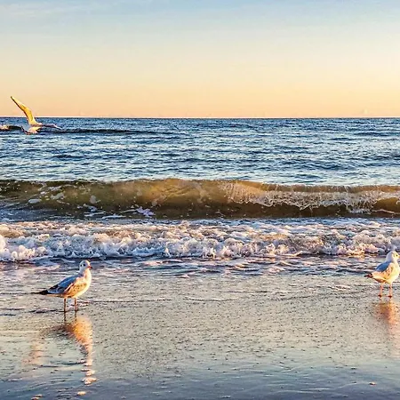 Appartement Gorgeous In With Wifi Bedzino