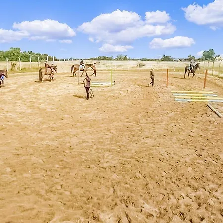 Gorgeous In With Wifi * Bedzino